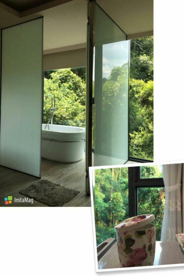 Spring Land Villa & 白舍青丘 Puli Kültér fotó